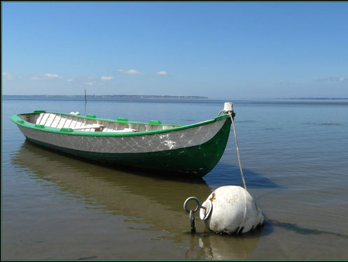 Pinasse sur le bassin