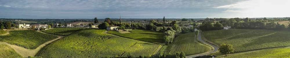 Panoramique vignoble